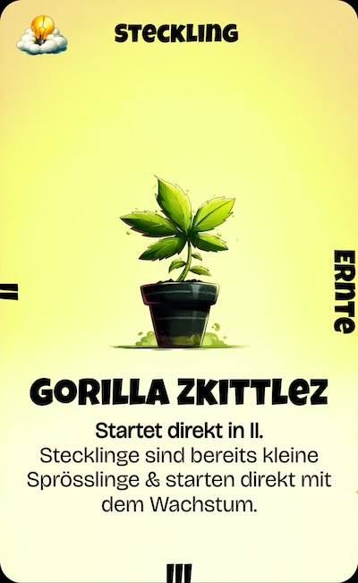 Kartenspiel Karte