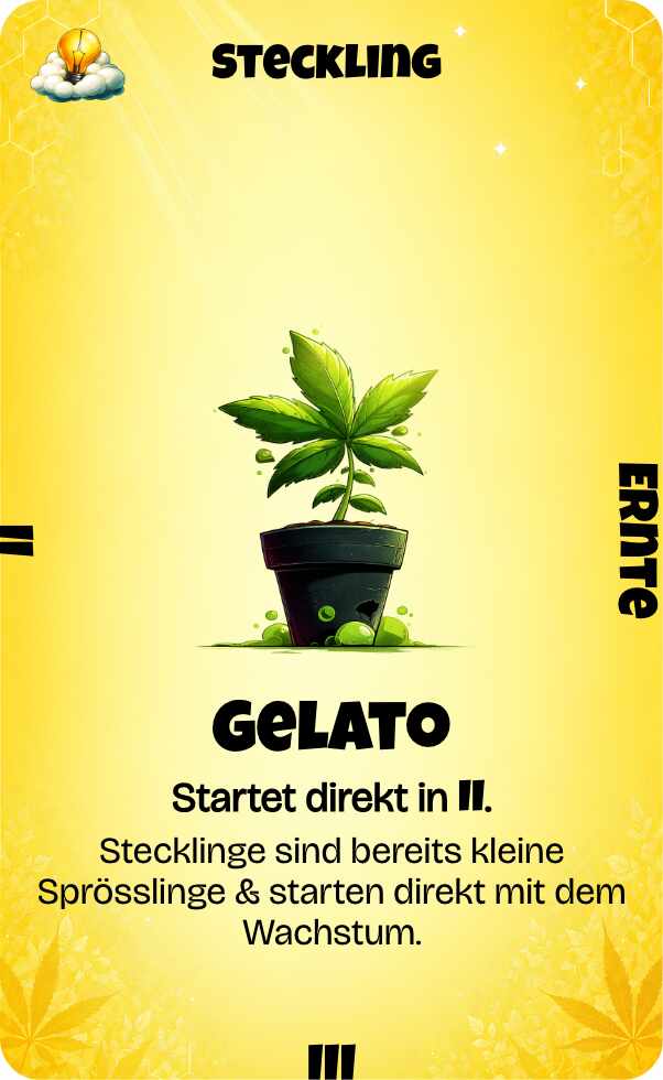 Kartenspiel Karte
