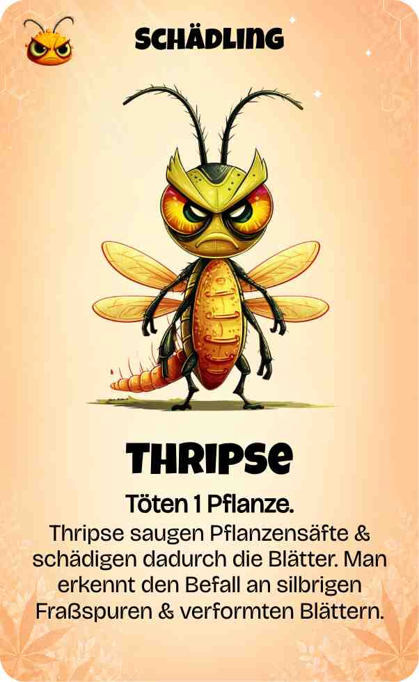 Kartenspiel Karte